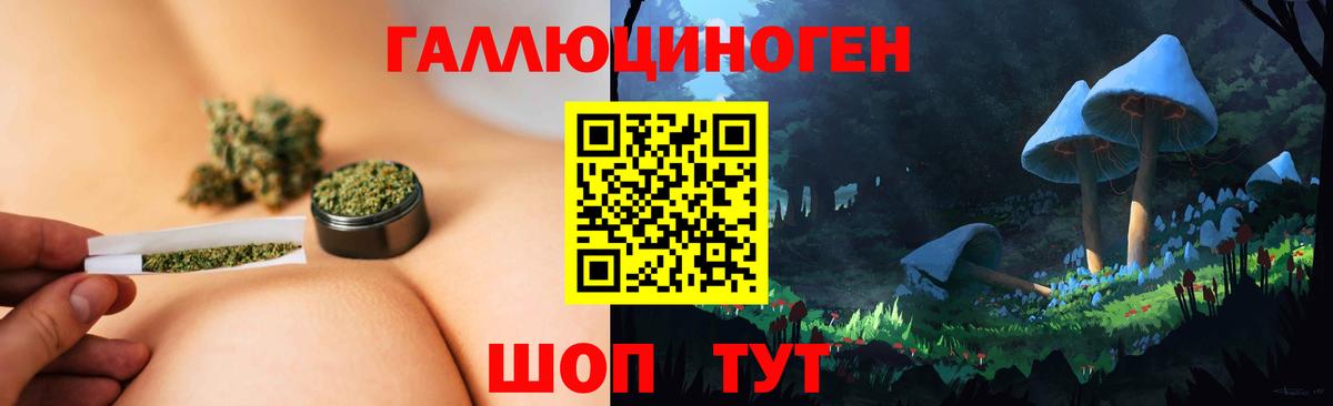 Рыбинск  Псилоцибиновые грибы прущие грибы  Вход с VPN  Галлюциногенные грибы мицелий 